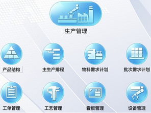 軟件開發中六西格瑪管理咨詢過程頭腦風暴法的實施