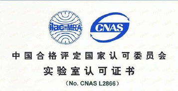 CNAS認可的專業(yè)咨詢單位機構(gòu)在軟件開發(fā)領(lǐng)域的作用