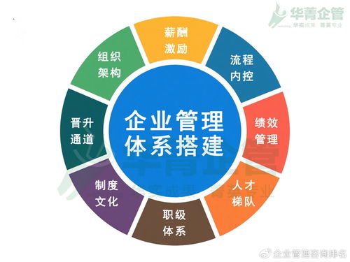 東莞電商行業管理體系落地咨詢機構推薦與軟件開發建議